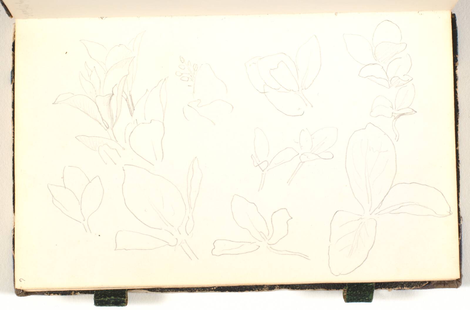 Blade og kviste, P.C. Skovgaard, 1865