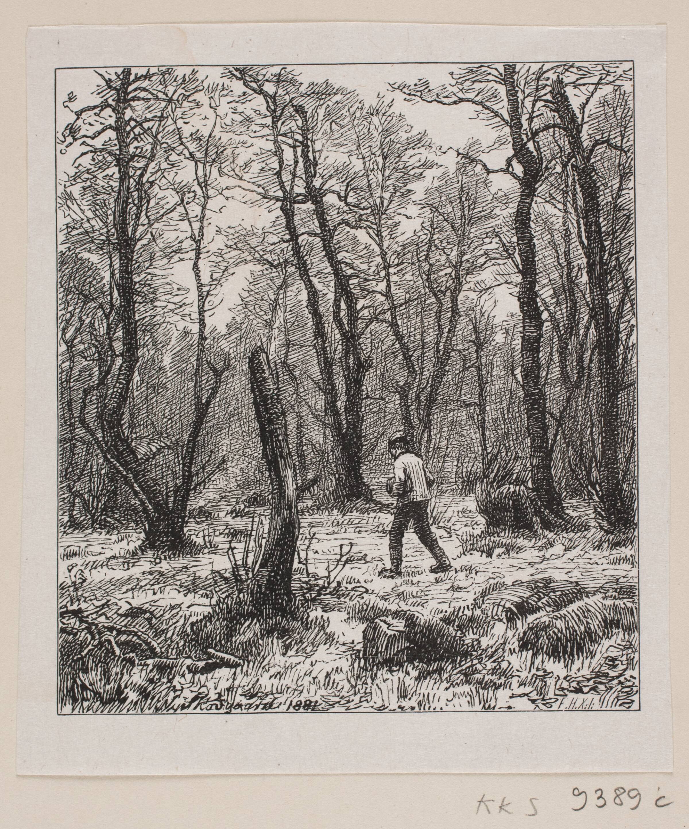 En træskomager i en ellemose, Harald Kemnitz, 1884