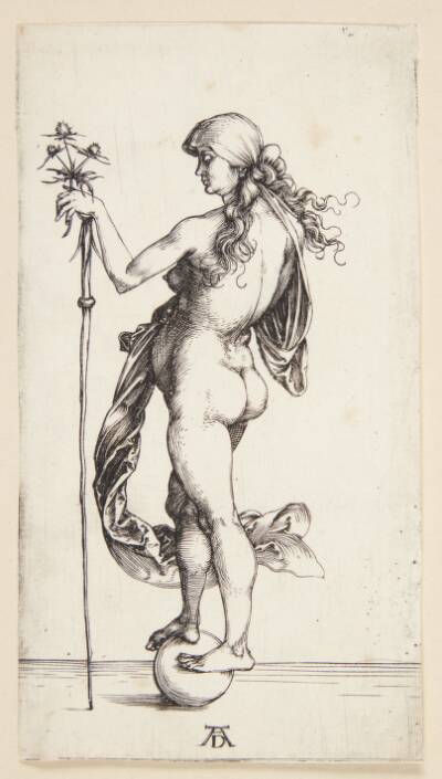 Fortuna