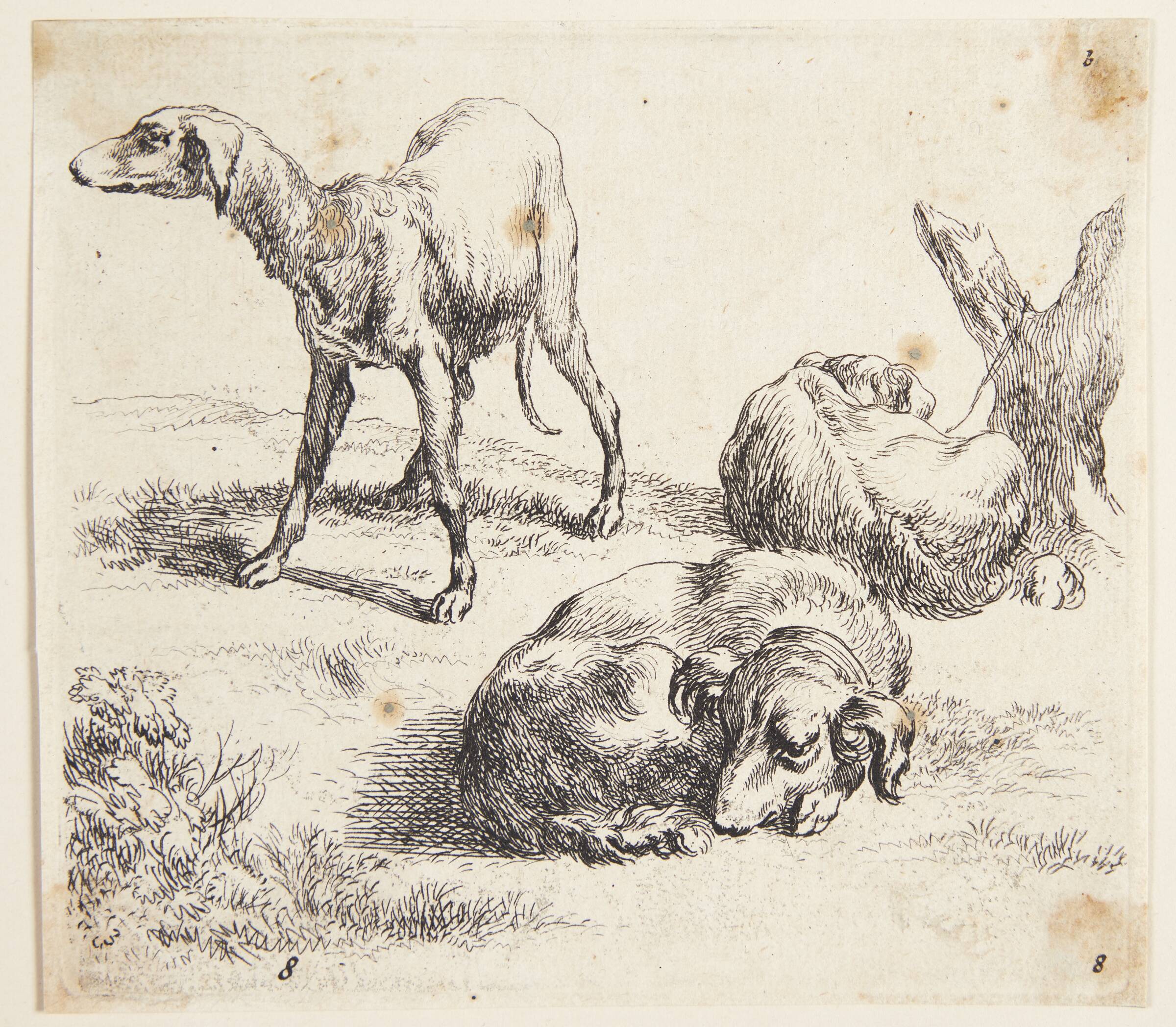 Tre jagthunde, Nicolaes Berchem, 1620-1683