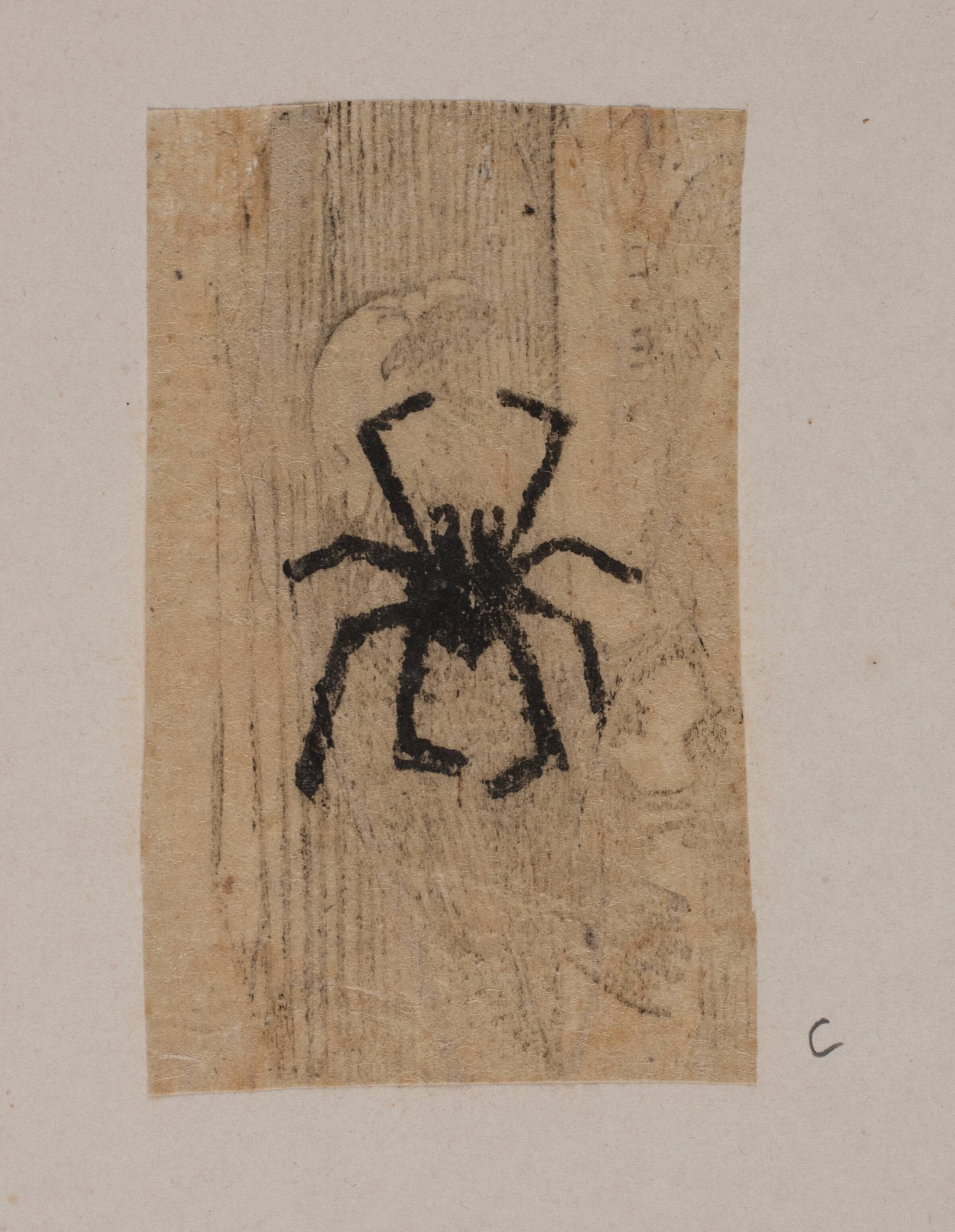 Insekt, Joakim Skovgaard, 1865-1870
