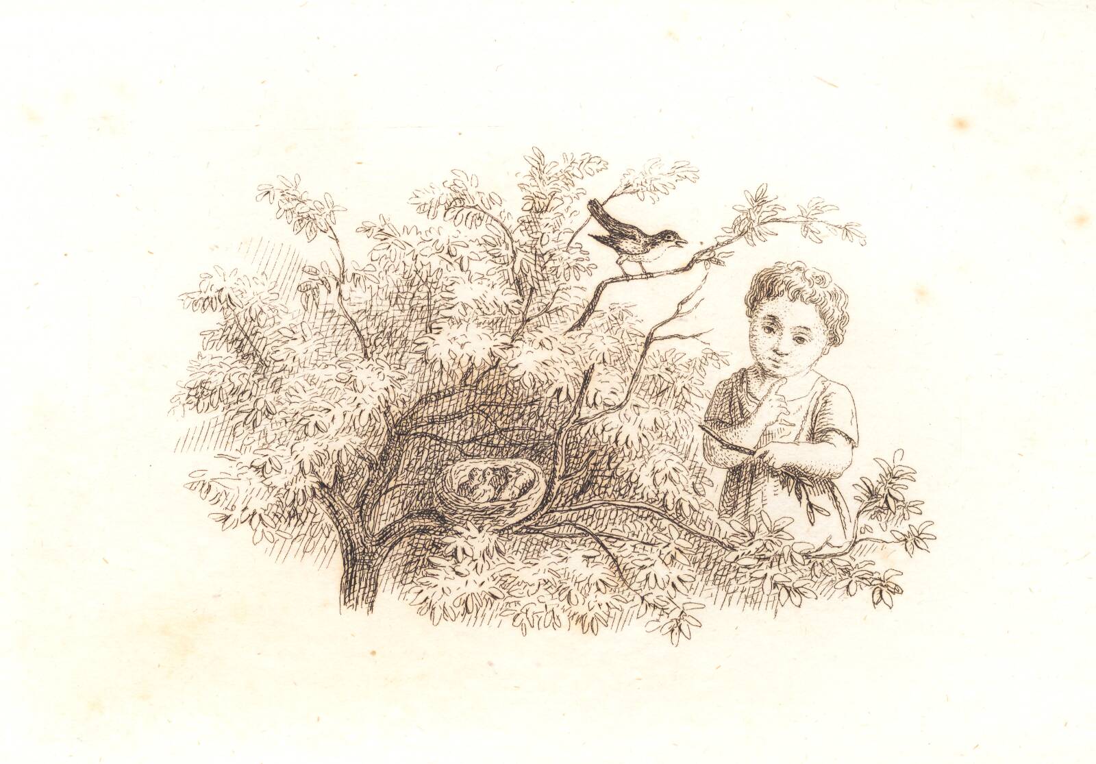 Regnskaber 1846-48, Martinus Rørbye, 1846-1848