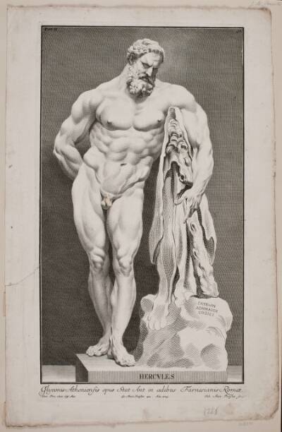 "Hercules"