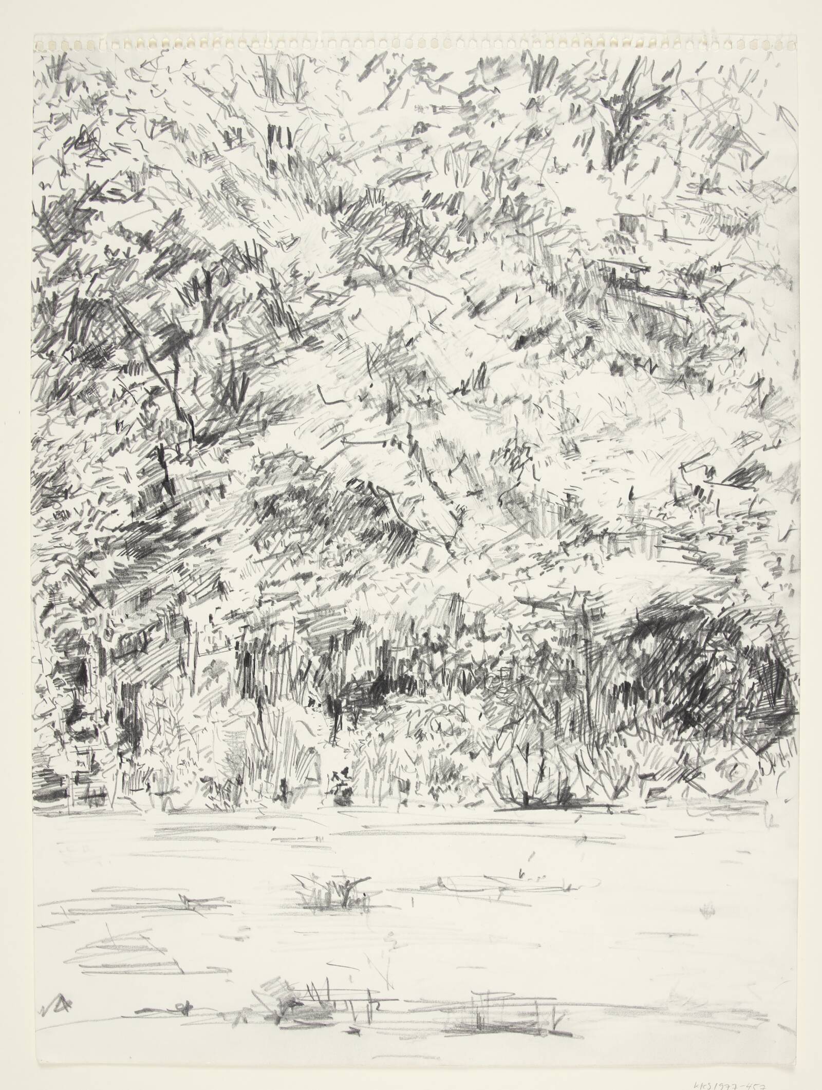 Skovkant, Maria Thorsen, 1977